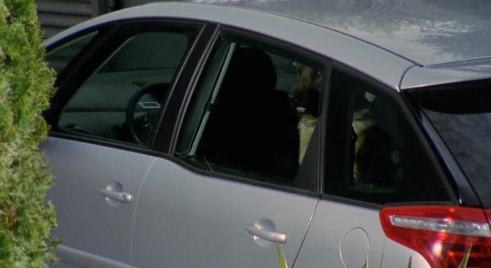 2007 Citroën C4 Picasso Série 1