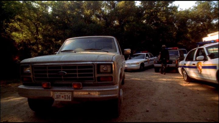 1982 Ford F-Series