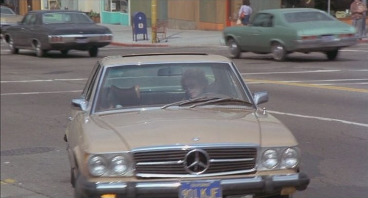 1973 Chevrolet Nova [1XX27]