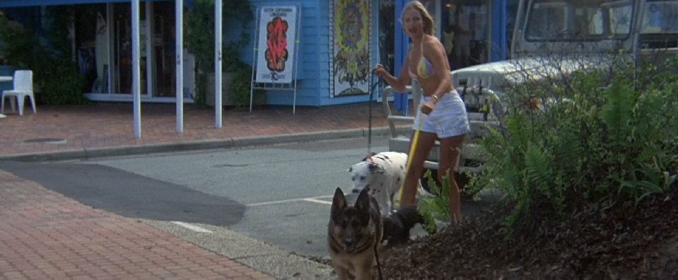 1977 Toyota Land Cruiser [J40]