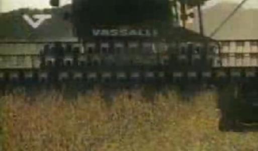 1991 Vassalli 1200