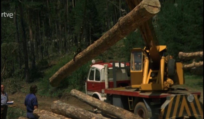 Pegaso 1061 'Cabezón'