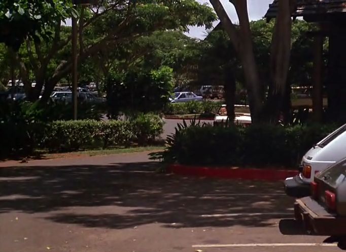 1979 Ford Pinto Runabout