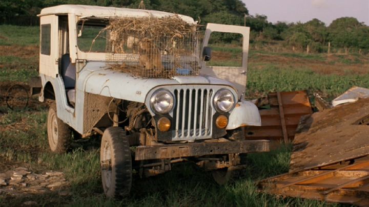 1956 Willys Jeep CJ-5