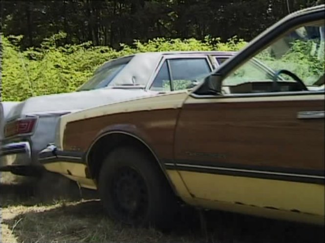 1985 Chevrolet Celebrity Estate Wagon
