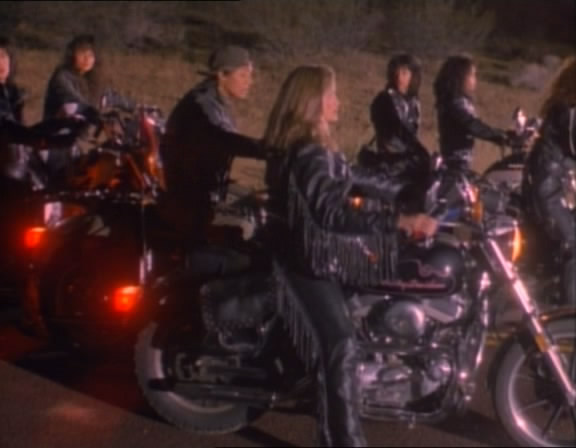 1986 Harley-Davidson Sportster