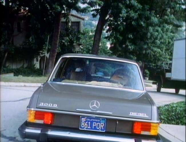 1975 Mercedes-Benz 300 D [W115]