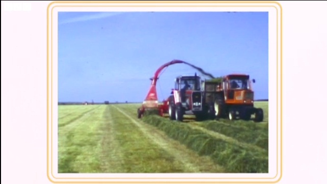1982 Massey Ferguson 2680