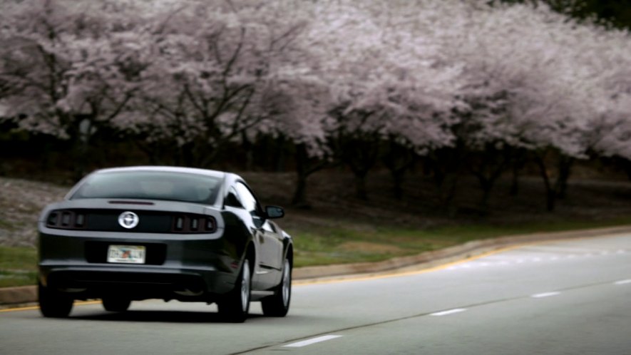 2013 Ford Mustang [S197]