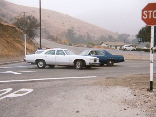 1975 Pontiac Catalina [2BL69]