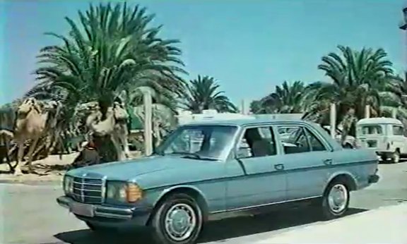 1976 Mercedes-Benz [W123]