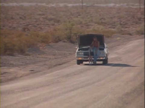 1984 Oldsmobile Cutlass Supreme