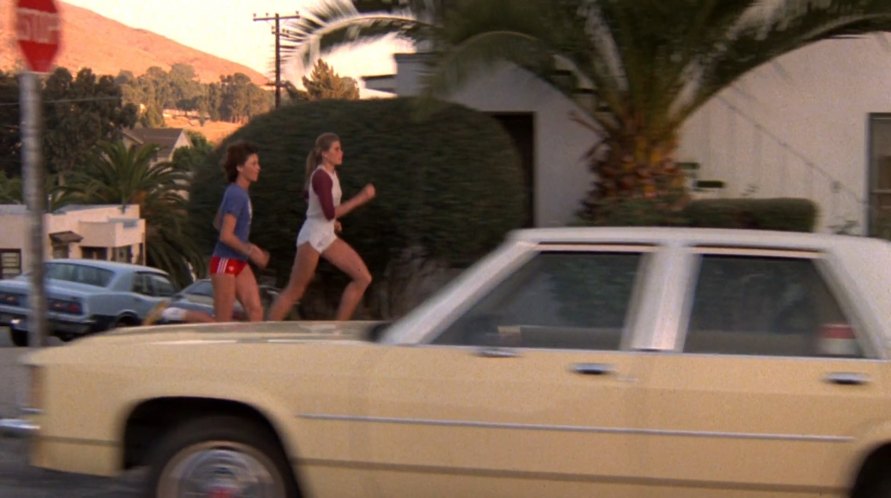 1981 Ford LTD-S [54D]