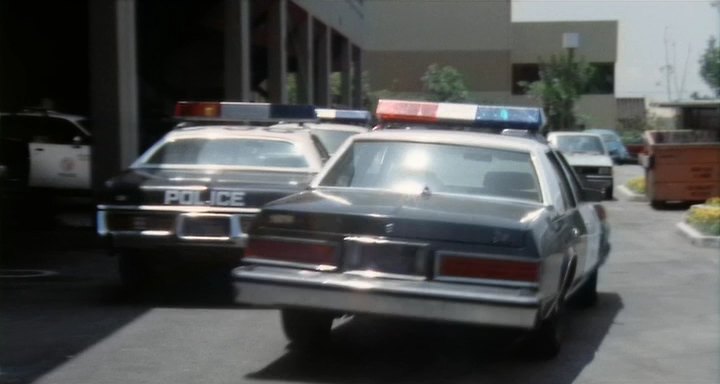 1980 Plymouth Gran Fury [JL42]