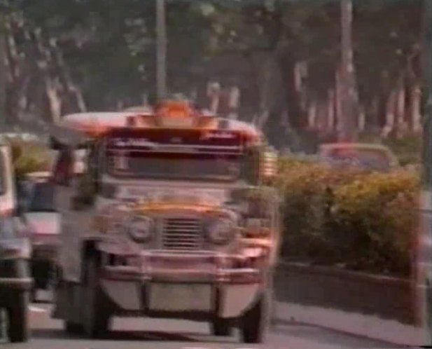 Custom Made 'Jeepney'