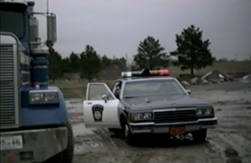 1984 Freightliner FLC 120