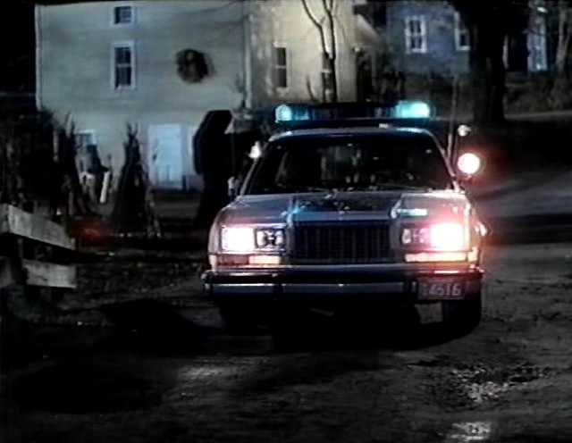 1982 Plymouth Gran Fury