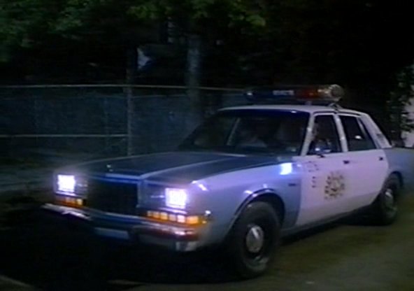 1984 Dodge Diplomat