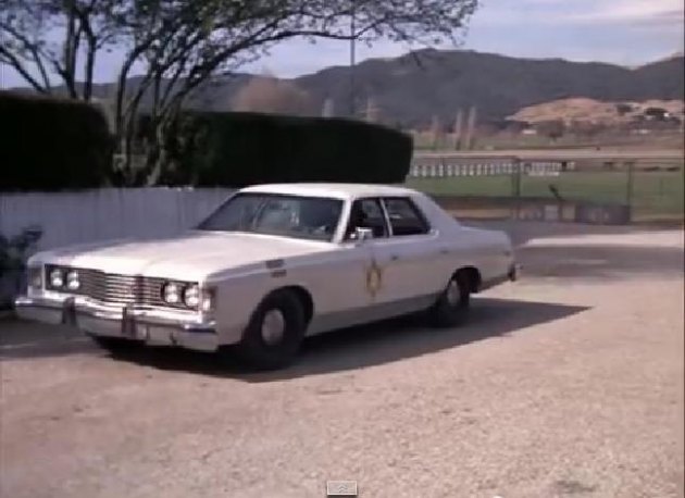 1973 Ford Galaxie 500