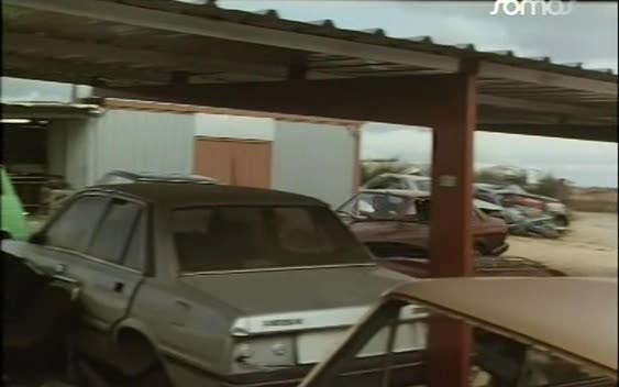 1980 Peugeot 505 [551A]