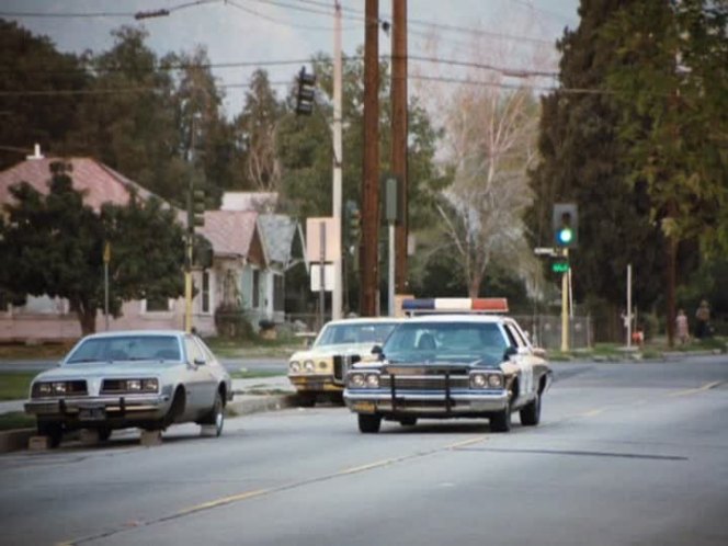 1976 Pontiac Sunbird