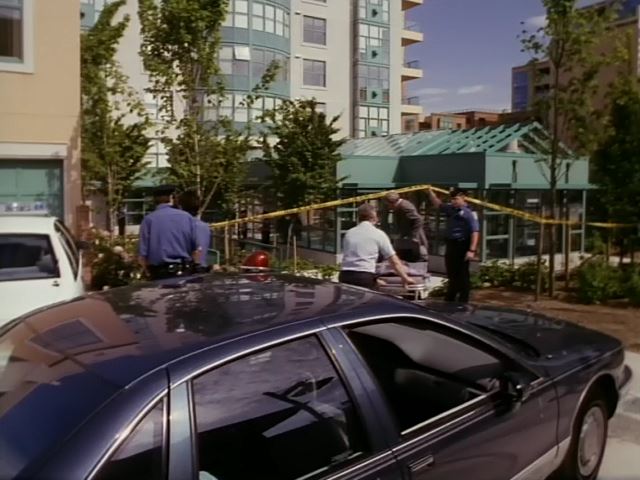 IMCDb Org 1993 Chevrolet Caprice In Breaking Point 1994