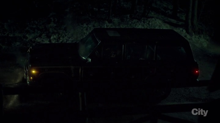 1984 Jeep Grand Wagoneer [SJ]