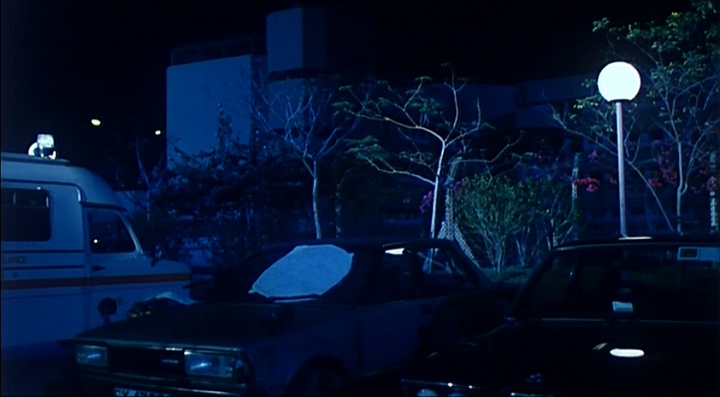 1981 Datsun Bluebird [910]