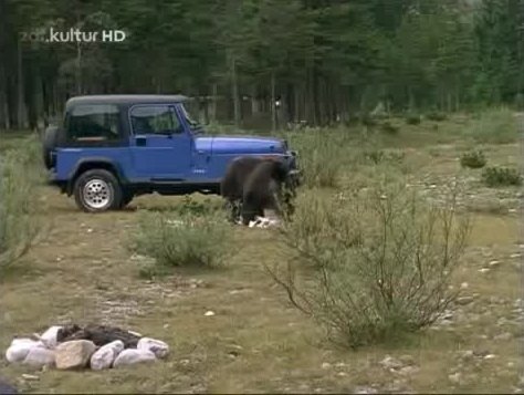 1993 Jeep Wrangler [YJ]