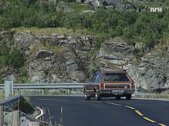 1980 Dodge Aspen Wagon SE