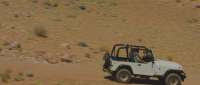 Click for details and comments about this vehicle 1053293