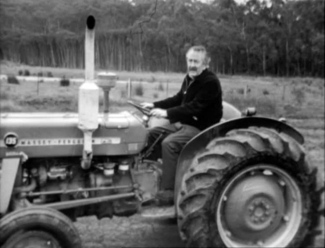 Massey Ferguson 135