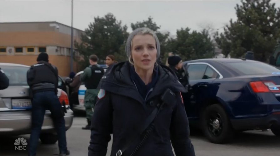 2013 Ford Police Interceptor