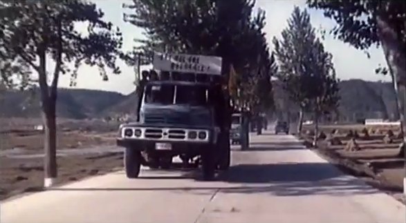 Chaju 82