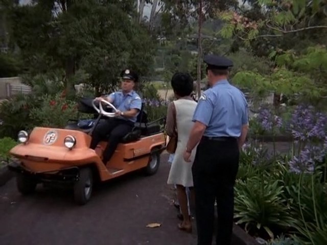 Cushman Golfster