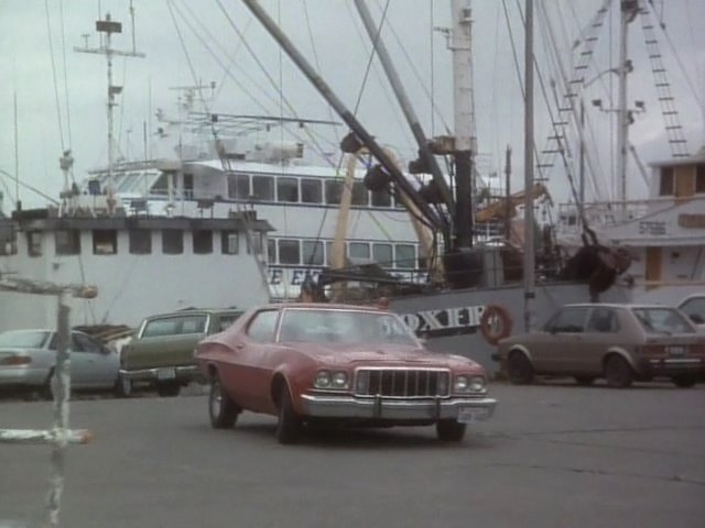 1981 Volkswagen Rabbit I [Typ 17]