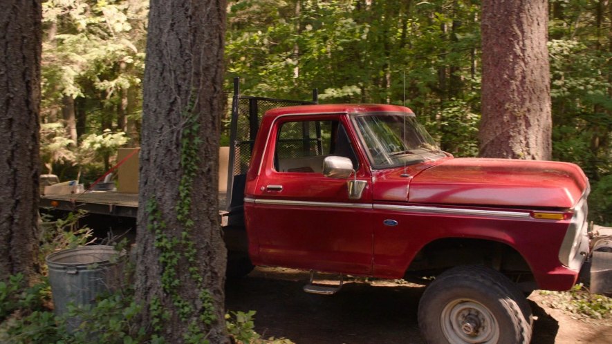 1973 Ford F-Series Regular Cab