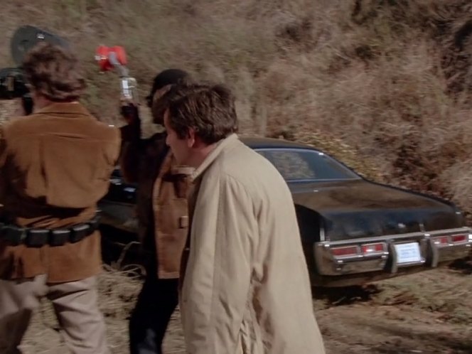 1973 Plymouth Satellite 4-Door Sedan [RL41]