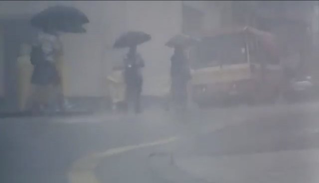 Mitsubishi Fuso Rosa