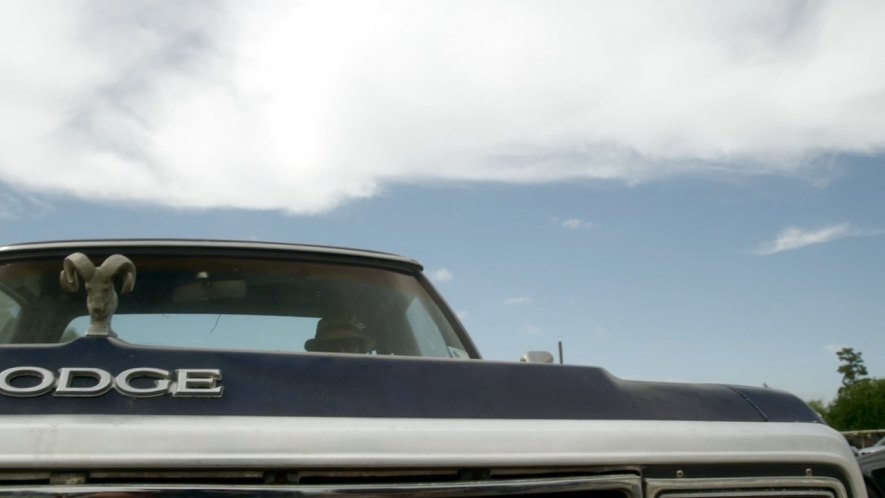 1981 Dodge Ram D/W-Series Conventional Cab [AD/AW]