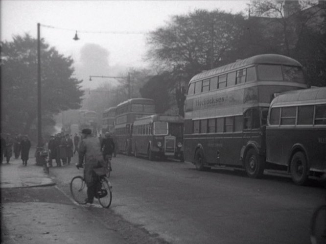 Bristol L