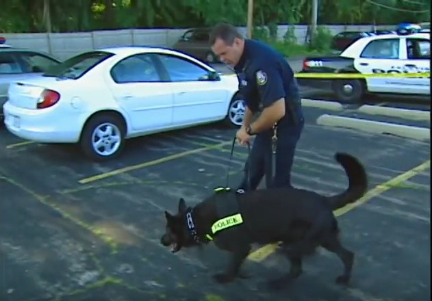 2000 Dodge Neon (by default) [PL]