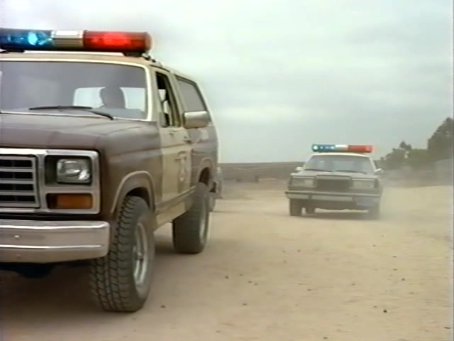 1981 Dodge Diplomat