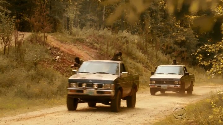 1993 Nissan Truck Regular Cab [D21]