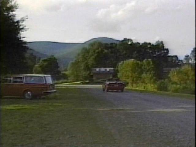 Volvo 240 [245]