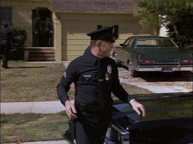 1973 Ford Custom 500