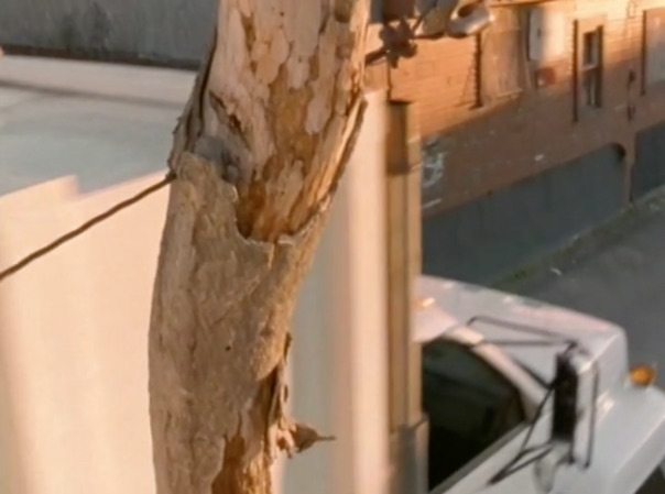 1990 GMC TopKick [GMT530]