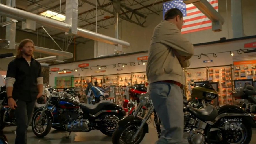 2018 Harley-Davidson Softail Low Rider [FXLR]