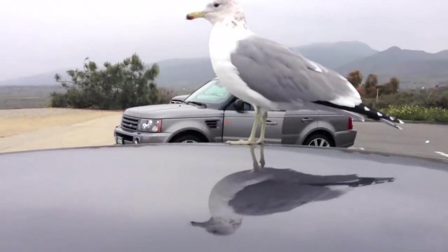 Land-Rover Range Rover Sport [L320]