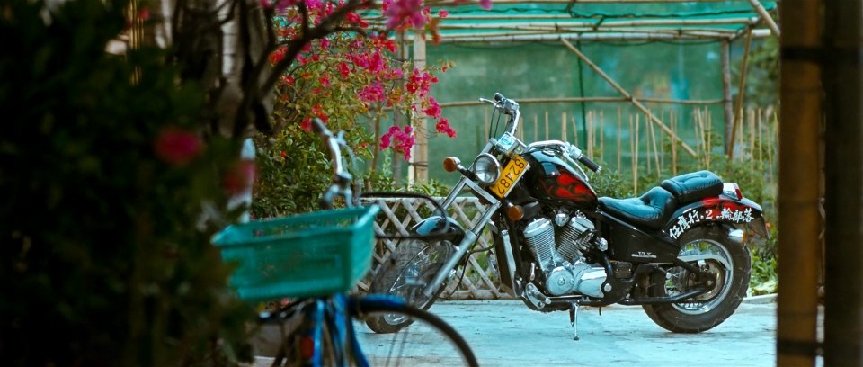 Honda VT 600 C Shadow